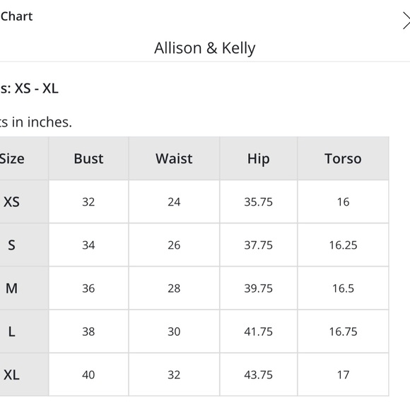 NWT / XLarge  / hot pink fringe mini dress - Picture 4 of 4